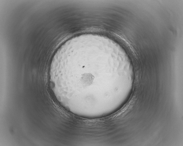 X0000115621409200912081013