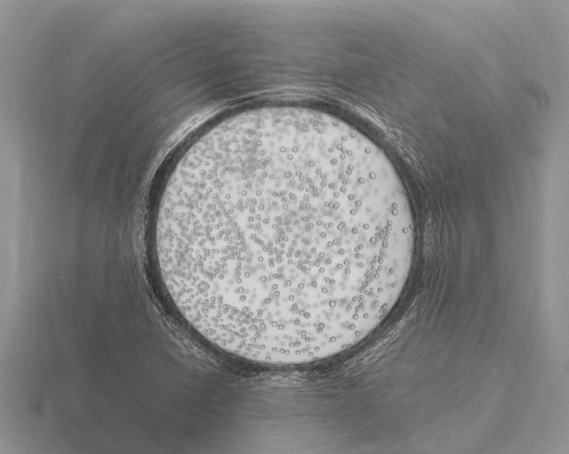 X0000115621410200912081013