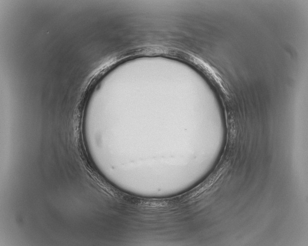 X0000115621411200912081013