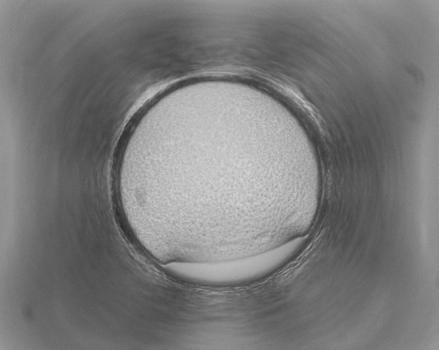 X0000115621412200912081013