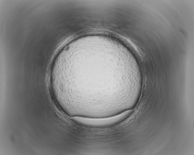 X0000115621413200912081013