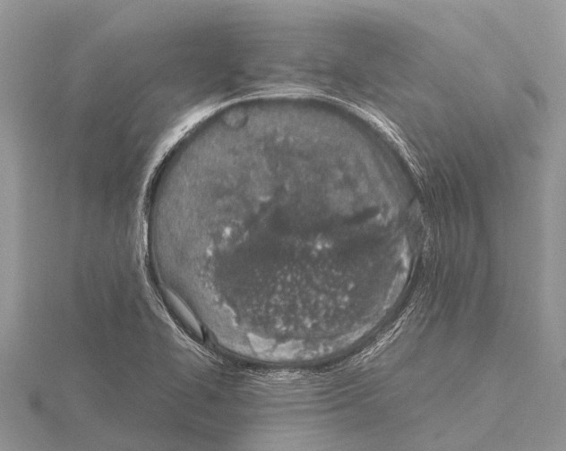 X0000115621414200912081013