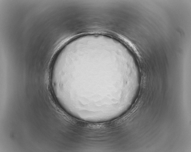 X0000115621415200912081013