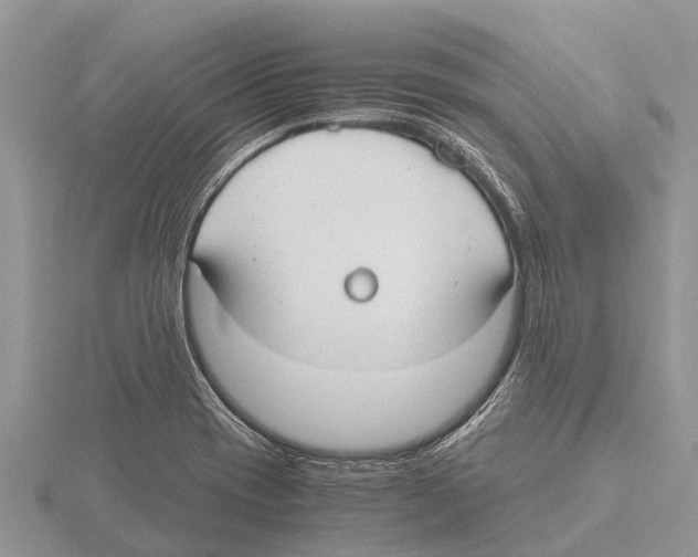 X0000115621417200912081013