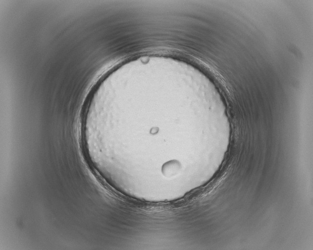 X0000115621418200912081013