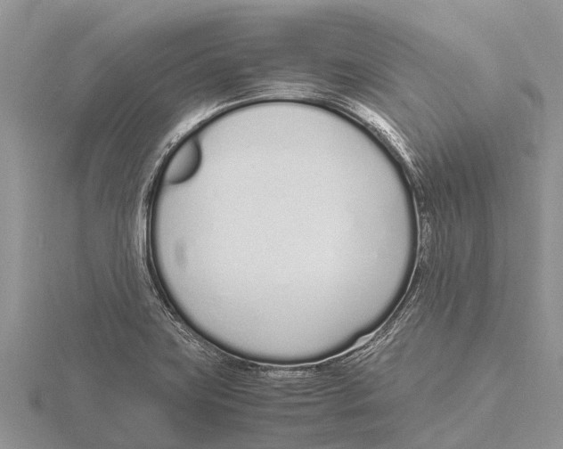 X0000115621419200912081013