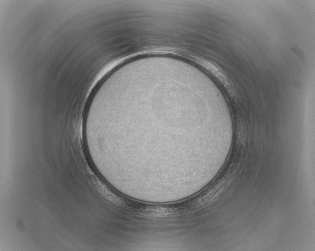 X0000115621420200912081013