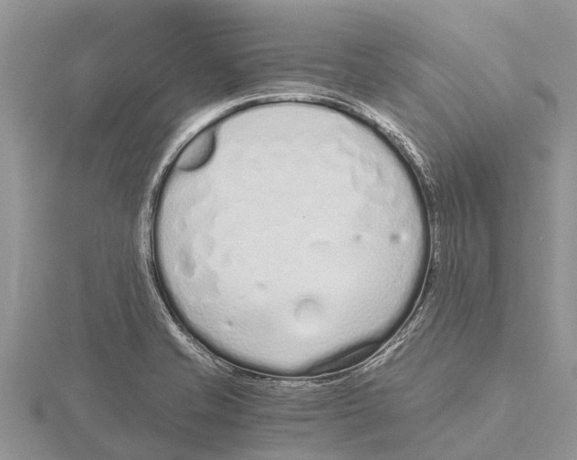 X0000115621421200912081013