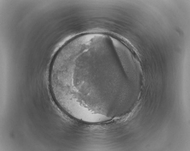 X0000115621422200912081013