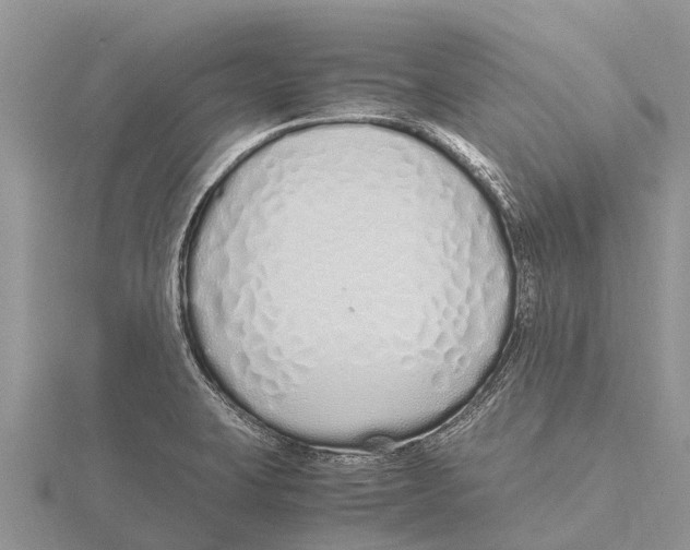 X0000115621423200912081013