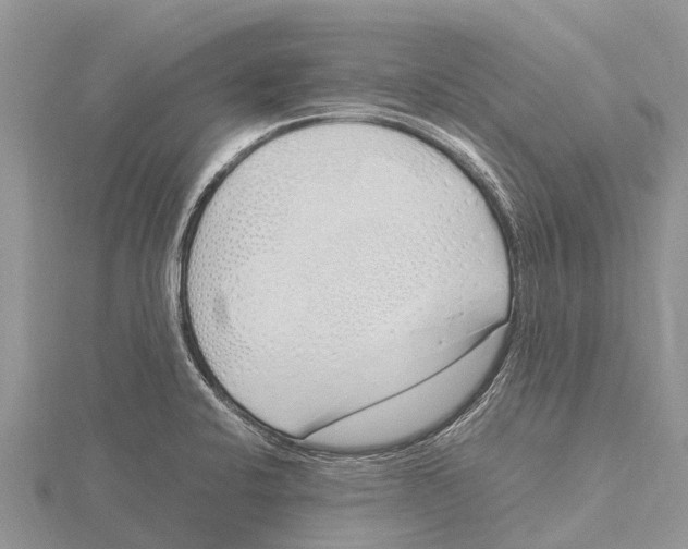 X0000115621424200912081013