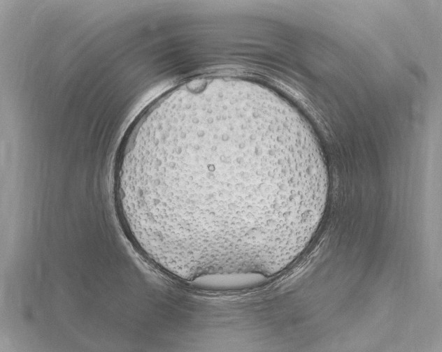 X0000115621426200912081014