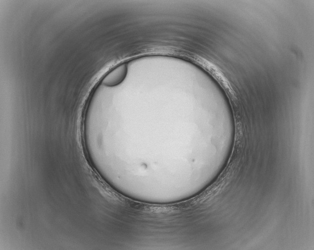 X0000115621427200912081014