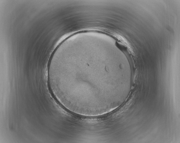 X0000115621428200912081014