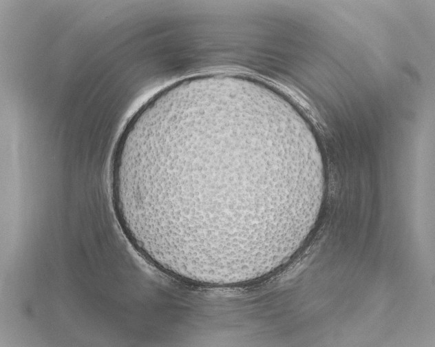 X0000115621430200912081014