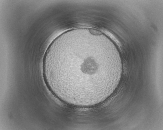 X0000115621431200912081014