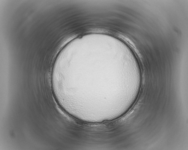 X0000115621433200912081014