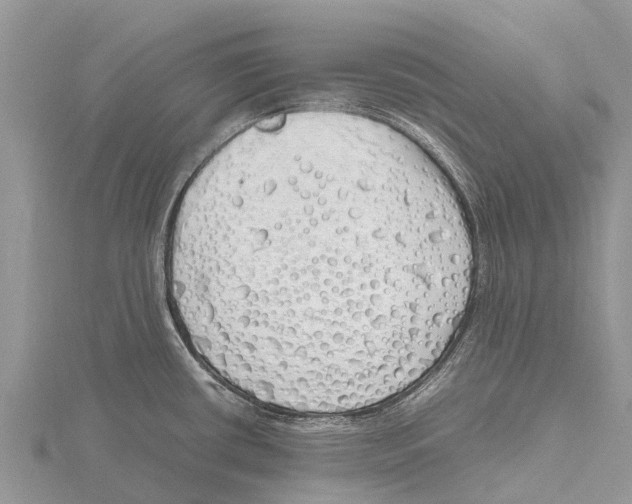 X0000115621434200912081014