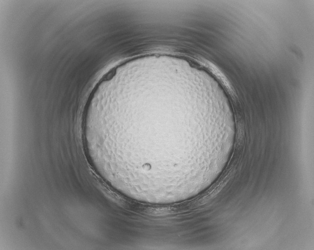 X0000115621435200912081014