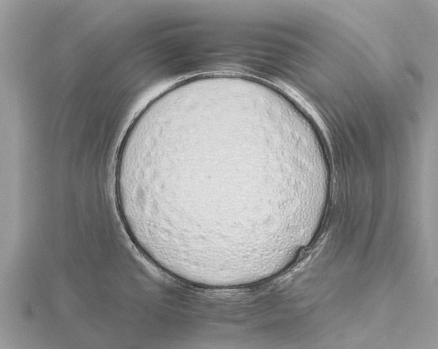 X0000115621437200912081014