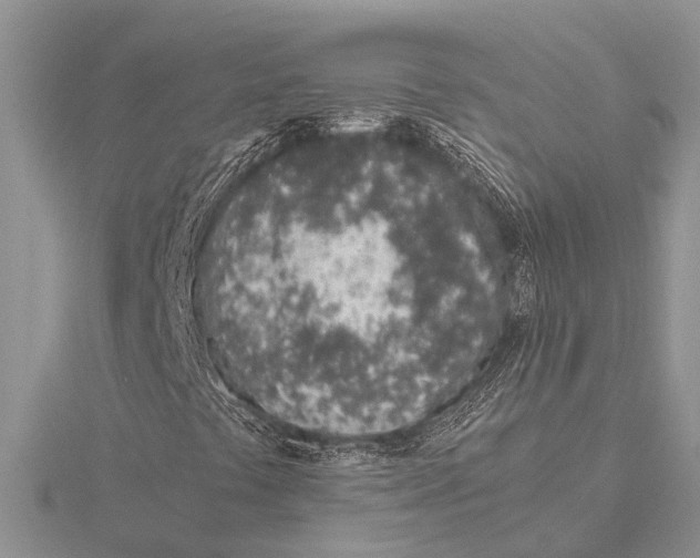 X0000115621441200912081013