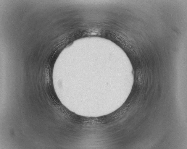 X0000115621442200912081013