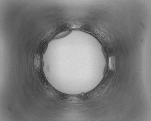 X0000115621443200912081013