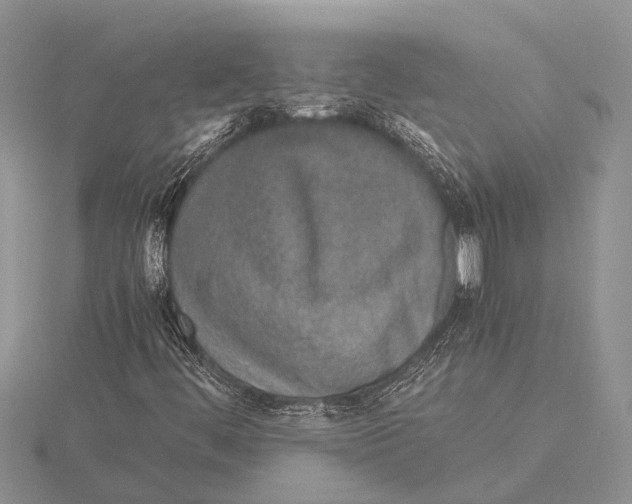 X0000115621444200912081013