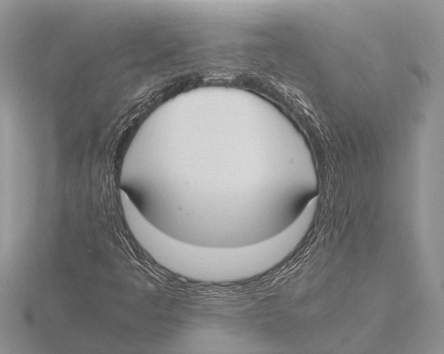 X0000115621445200912081013