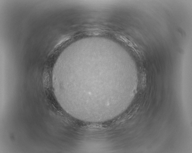 X0000115621446200912081013