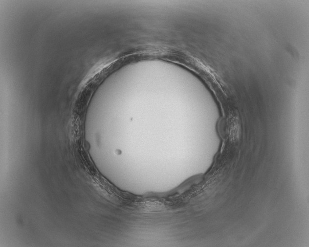 X0000115621448200912081013