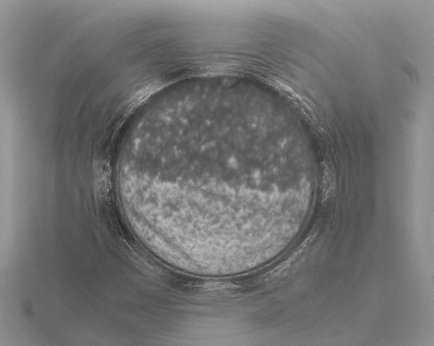 X0000115621449200912081013