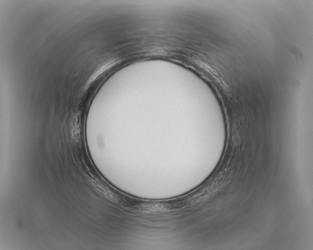 X0000115621450200912081013