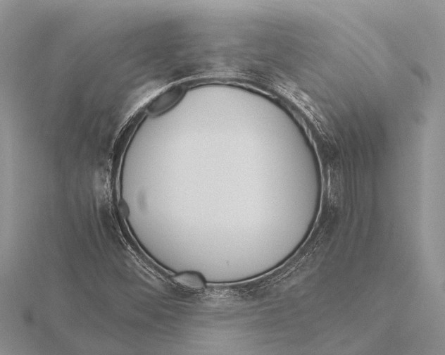 X0000115621452200912081013