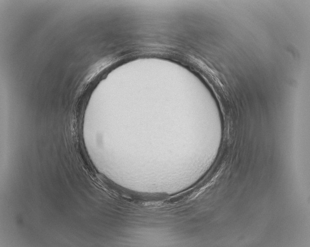 X0000115621453200912081013