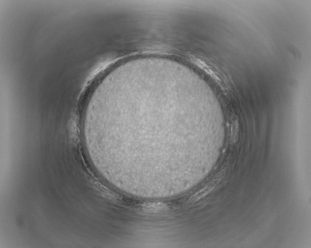 X0000115621454200912081013