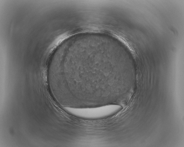 X0000115621455200912081013