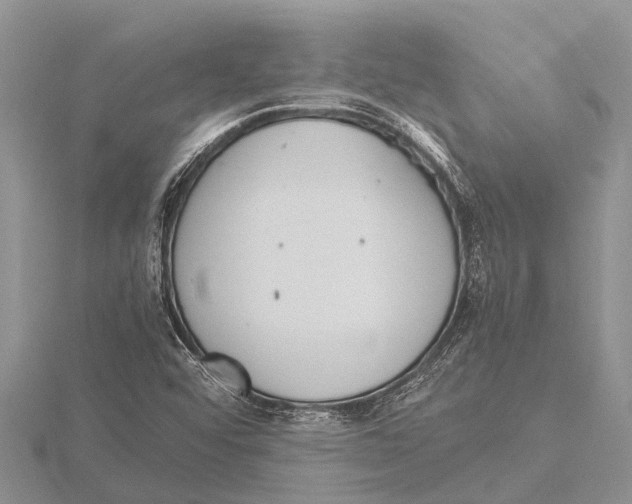 X0000115621456200912081013