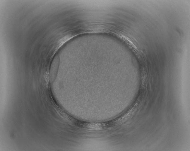 X0000115621457200912081013