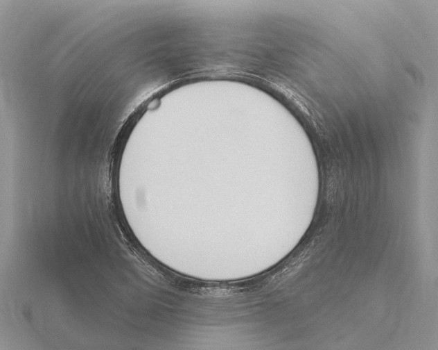 X0000115621458200912081013