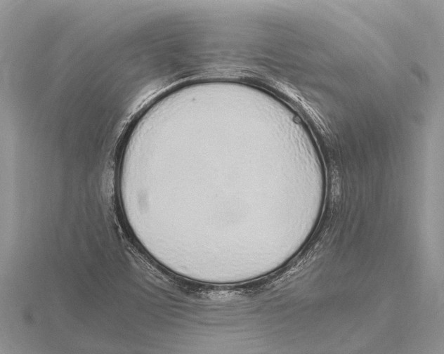 X0000115621459200912081013