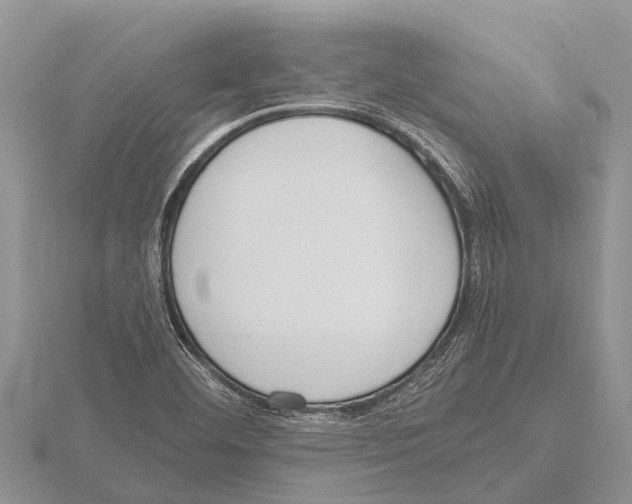 X0000115621460200912081013