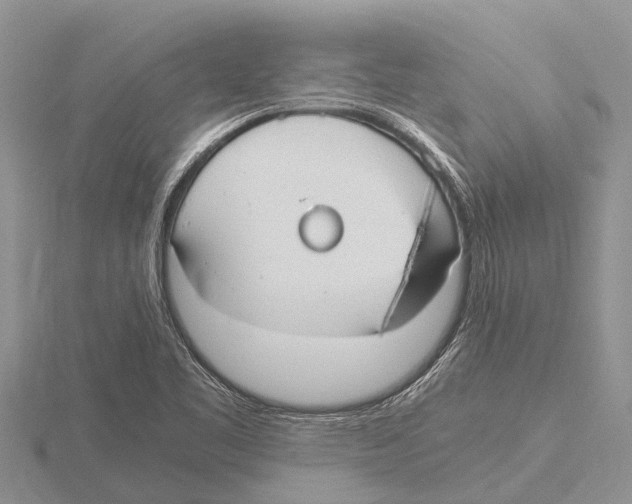 X0000115621461200912081013