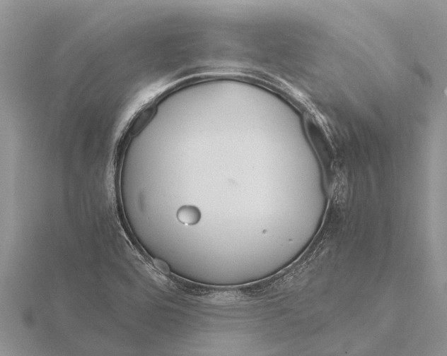 X0000115621464200912081013