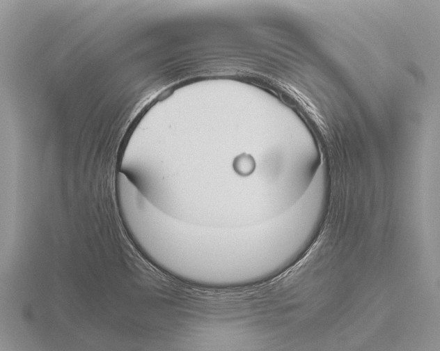 X0000115621465200912081013