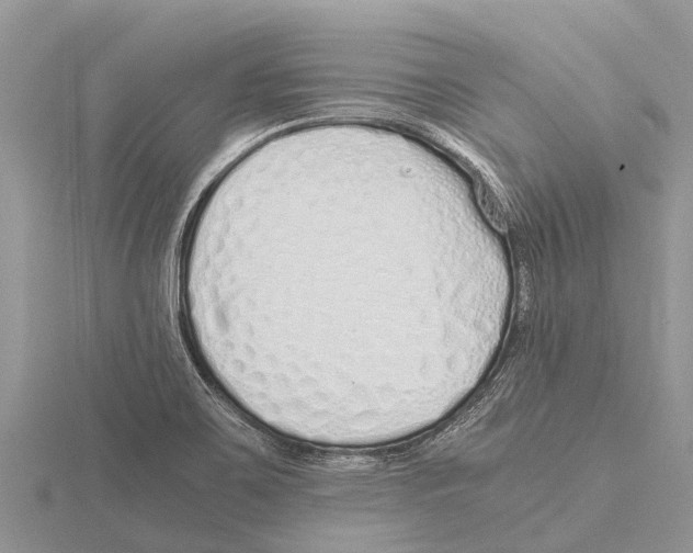 X0000115621467200912081013