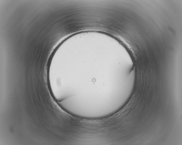 X0000115621468200912081013