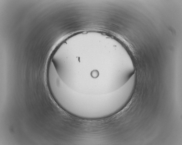 X0000115621469200912081013