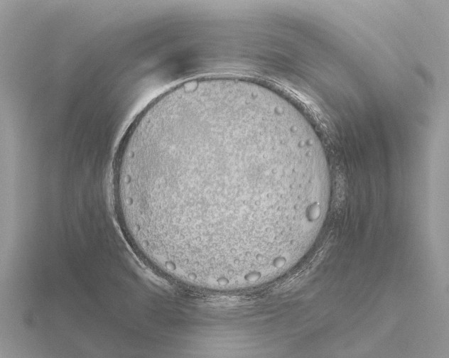 X0000115621470200912081013