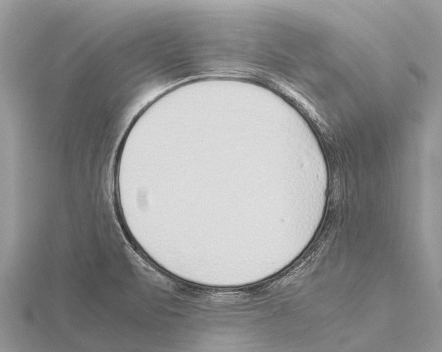 X0000115621471200912081013